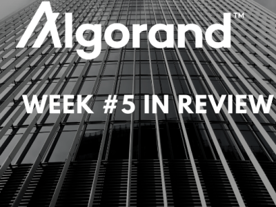 Algorand news update